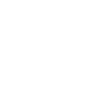 LIS Logo